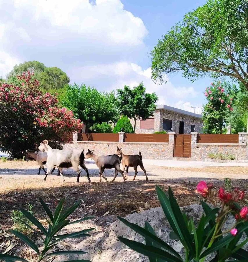 Aithonas Villa Archangelos  Exterior photo