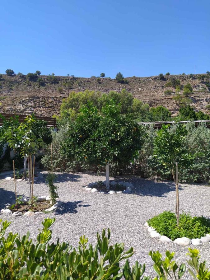 Aithonas Villa Archangelos  Exterior photo